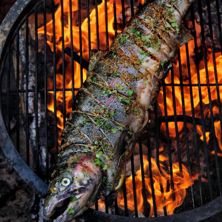 Image of Campfire Garlic And Herb Steelhead Trout